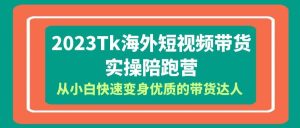 2023-Tk海外短视频带货-实操陪跑营，从小白快速变身优质的带货达人-逍遥游