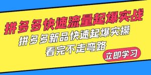 拼多多-快速流量起爆实战，拼多多新品快速起爆实操，看完不走弯路-逍遥游
