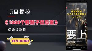 1000个野路子信息差保姆式教程-单日变现3000+的玩法解密-逍遥游