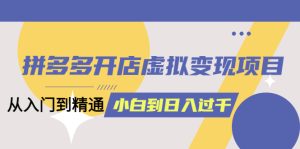 拼多多开店虚拟变现项目：入门到精通 从小白到日入1000（完整版）6月13更新-逍遥游