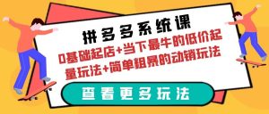 拼多多系统课:0基础起店+当下最牛的低价起量玩法+简单粗暴的动销玩法-逍遥游