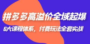 拼多多-高溢价 全域 起爆，6大课程体系，付费玩法全套实战-逍遥游