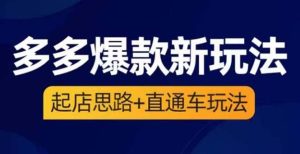 2023拼多多爆款·新玩法:起店思路+直通车玩法(3节精华课)-逍遥游
