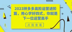 2023拼多多高阶运营进阶篇，用心学好四式，你就是下一位运营高手-逍遥游