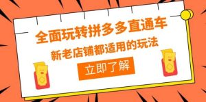 全面玩转拼多多直通车，新老店铺都适用的玩法（12节精华课）-逍遥游