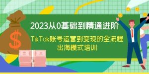 2023从0基础到精通进阶,TikTok账号运营到变现的全流程出海模式培训-逍遥游
