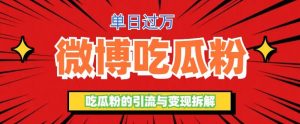 微博吃瓜粉引流玩法，轻松日引100粉变现500+-逍遥游