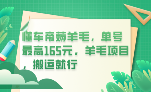 懂车帝薅羊毛，单号最高165元，羊毛项目，搬运就行-逍遥游
