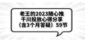 老王的2023随心推+千川投放心得分享(含3个月答疑)59节-逍遥游