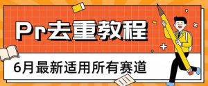 2023年6月最新Pr深度去重适用所有赛道，一套适合所有赛道的Pr去重方法-逍遥游