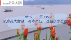 一单15，一天300+，小商品大智慧，高考风口，选品该怎么布局-逍遥游