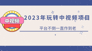 2023一心0基础玩转中视频项目：平台不倒，一直做到老-逍遥游