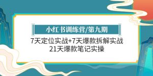 小红书训练营/第九期:7天定位实战+7天爆款拆解实战,21天爆款笔记实操-逍遥游