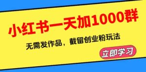 小红书一天加1000群，无需发作品，截留创业粉玩法 （附软件）-逍遥游