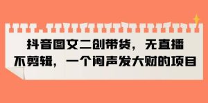 抖音图文二创带货,无直播,不剪辑,一个闷声发大财的项目-逍遥游
