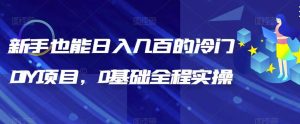 新手也能日入几百的冷门DIY项目，0基础全程实操【揭秘】-逍遥游
