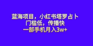 蓝海项目,小红书塔罗占卜,门槛低,传播快,一部手机月入3w+-逍遥游