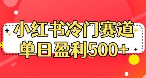 小红书冷门赛道，单日盈利500+【揭秘】-逍遥游