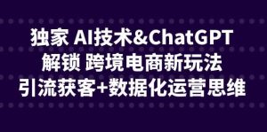 独家 AI技术ChatGPT解锁 跨境电商新玩法,引流获客+数据化运营思维-逍遥游