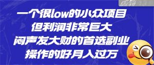 一个很low的小众项目，但利润非常巨大，闷声发大财的首选副业，月入过万-逍遥游