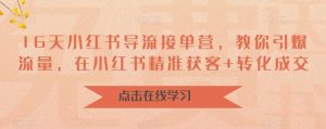 16天-小红书 导流接单营,教你引爆流量,在小红书精准获客+转化成交-逍遥游
