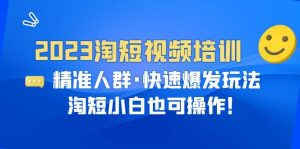 2023淘短视频培训：精准人群·快速爆发玩法，淘短小白也可操作-逍遥游