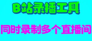 B站录播工具,支持同时录制多个直播间【录制脚本+使用教程】-逍遥游