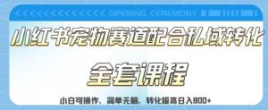 实测日入800的项目小红书宠物赛道配合私域转化玩法，适合新手小白操作，简单无脑【揭秘】-逍遥游