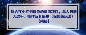 适合在小红书操作的蓝海项目，单人日收入过千，操作及其简单（保姆级玩法）【揭秘】-逍遥游