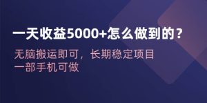 一天收益5000+怎么做到的?无脑搬运即可,长期稳定项目,一部手机可做-逍遥游