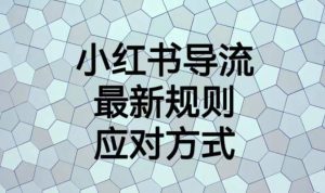 小红书导流最新规则应对方式【揭秘】-逍遥游