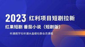听潮阁学社月入过万红果短剧番茄小说CPA拉新项目教程-逍遥游