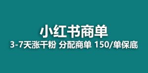 2023最强蓝海项目，小红书商单项目，没有之一-逍遥游