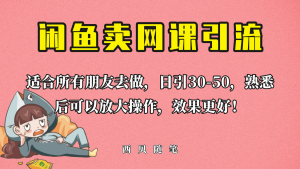 外面这份课卖 698，闲鱼卖网课引流创业粉，新手也可日引50+流量-逍遥游