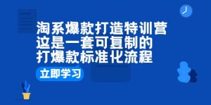 淘系爆款打造特训营：这是一套可复制的打爆款标准化流程-逍遥游
