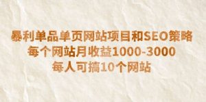 暴利单品单页网站项目和SEO策略 每个网站月收益1000-3000 每人可搞10个-逍遥游