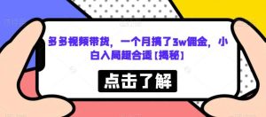 多多视频带货，一个月搞了3w佣金，小白入局超合适【揭秘】-逍遥游