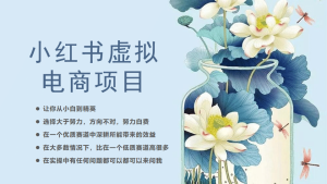小红书虚拟电商从0到1,让你从小白到精英(20节实操课程)-逍遥游