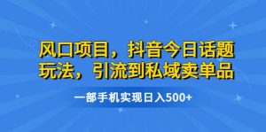 风口项目,抖音今日话题玩法,引流到私域卖单品,一部手机实现日入500+-逍遥游
