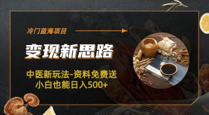 冷门蓝海项目-中医新玩法-冷门蓝海项目-中医新玩法-资料免费送小白也能日入500+500+-逍遥游