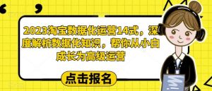 2023淘宝数据化-运营 14式,深度解析数据化知识,帮你从小白成长为高级运营-逍遥游