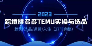 2023跨境·拼多多·TEMU实操与选品，趋势·选品·运营·入住（27节完整）-逍遥游