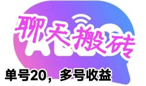 最新蓝海聊天平台手动搬砖，单号日入20，多号多撸，当天见效益-逍遥游