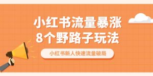 小红书流量-暴涨8个野路子玩法:小红书新人快速流量破局(8节课)-逍遥游