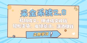 采金 系统2.0,私域成交,快速成交收钱,轻松卖货,业绩暴涨,潇洒赚钱-逍遥游