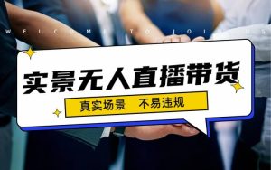 日入500+的实景无人直播带货最新玩法-逍遥游