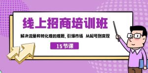 线上·招商培训班，解决流量和转化难的难题 引爆市场 从起号到变现（15节）-逍遥游