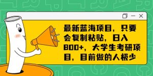 最新蓝海项目,只要会复制粘贴,日入800+,大学生考研项目,目前做的人极少-逍遥游