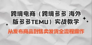 跨境电商(跨境多多 海外版多多TEMU)实操教学 从发布商品到售卖发货全流程-逍遥游