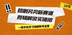 短剧另类新赛道剪辑解说实操班:一部手机学习短剧账号运营(29节 价值500)-逍遥游